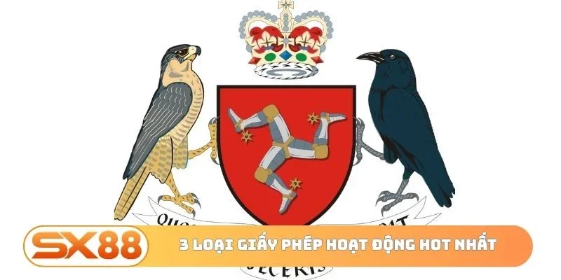 3 loại giấy phép hoạt động hot nhất