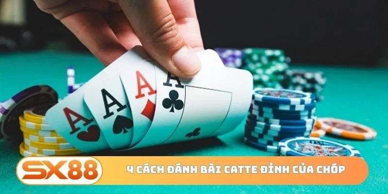 4 cách đánh bài Catte đỉnh của chóp