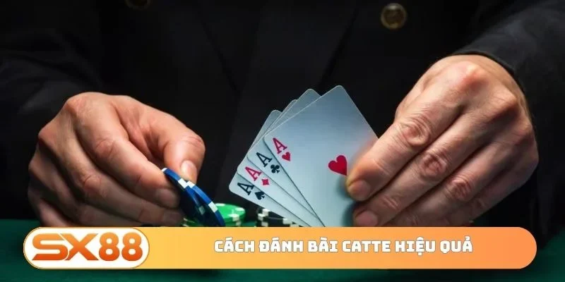 Cách đánh bài Catte