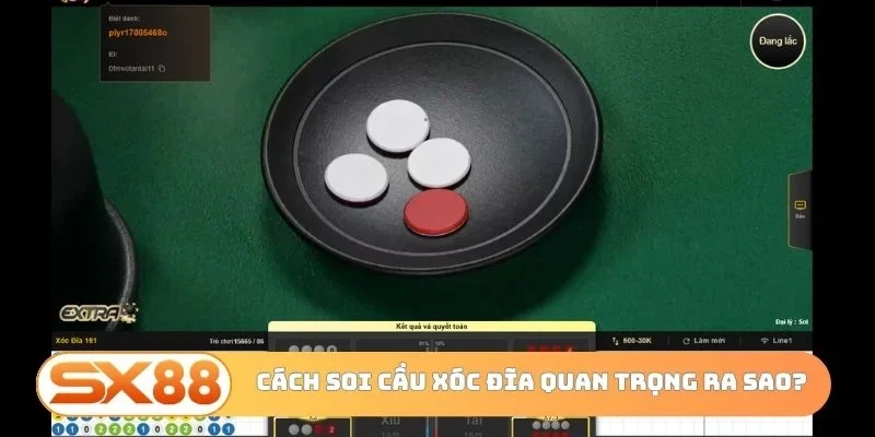 Cách soi cầu xóc đĩa có tầm quan trọng ra sao?