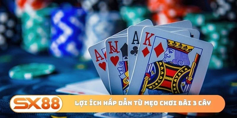 Lợi ích hấp dẫn từ mẹo chơi bài 3 cây